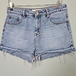 PacSun Size 28 VSCO High Waisted Denim Blue Women's Shorts